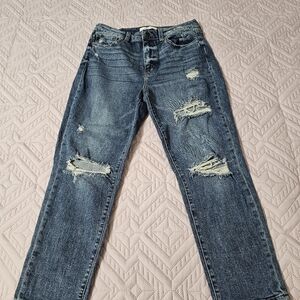 WILLOW & ROOT Diistressed Blue Women's Jeans